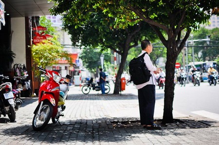 Tránh nắng trong bóng cây.